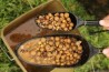 Particle Baiting Spoon