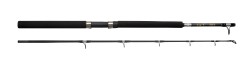 ROD GT 602 30LBS BOAT