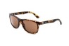 Sunglasses Classics Matt Tortoise Brown lens