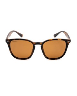 Shoreditch - Matt Tortoise Shell/ Brown Lens
