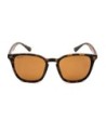 Shoreditch - Matt Tortoise Shell/ Brown Lens