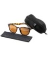 Shoreditch - Matt Tortoise Shell/ Brown Lens