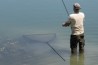 Spring Bow Net 6' 42in