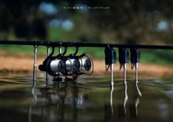 Kaizen Platinum 12ft 6in 4lb