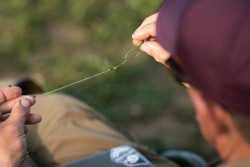 Loop Rigs Kor Size 2 50 lb