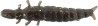 DAPPY CADDISFLY S 804 BROWN GOLD GLITTER - 23 mm (5/pck)