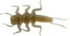 DAPPY STONEFLY 951 BROWN - 19mm (5/pk)