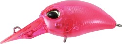 HAZE F C121 SABRE PINK FLT...