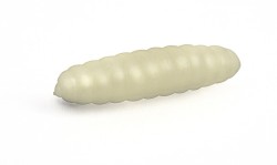 DAPPY WAXWORM 966 NATURAL -...