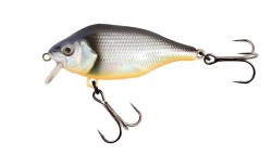 Funk Bug 40mm SR - UV Cool...