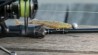 Dropshooter 230cm 6-24g