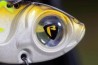 Fox Rage Big Eye Blade 10g UV Pike
