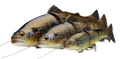 4D LT TROUT 20CM 98G MS...