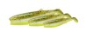 CANNIBAL SHAD 20CM 80G LEMON C