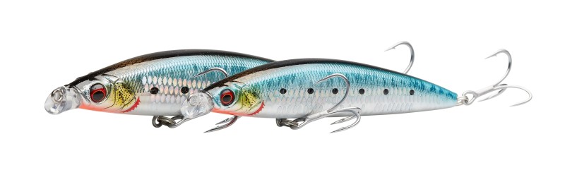 GRAVITY SHALLOW 10CM 14G F LS SARDINE