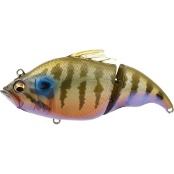 VATALION 115F ITO CICHLID -...