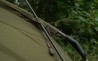 Frontier XD Camo Mozzy Mesh