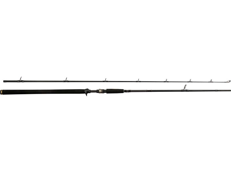 W3 POWERCAST-T 2ND 8'3""/248CM XH 20-80G 2SEC